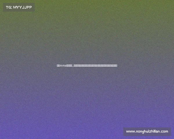 中国mma格斗赛事_华夏雄风再起中国综合格斗盛世顶尖高手云集激情对决荣耀巅峰之战