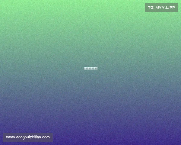 今年的女排在哪举行